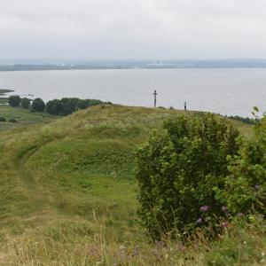 DEN_3113